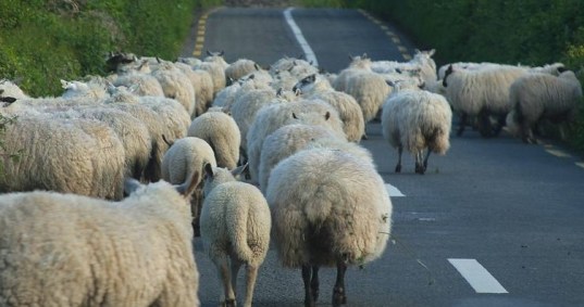 ireland_40_bg_061402 (2)