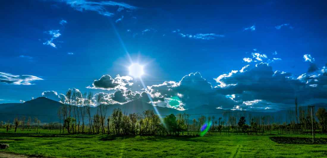 trees and grass field under cloudy sky during daytime